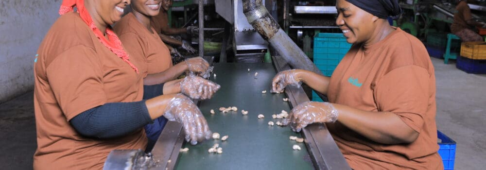 Comment lever les barrières au financement des organisations agro-alimentaires dans les pays du Sud